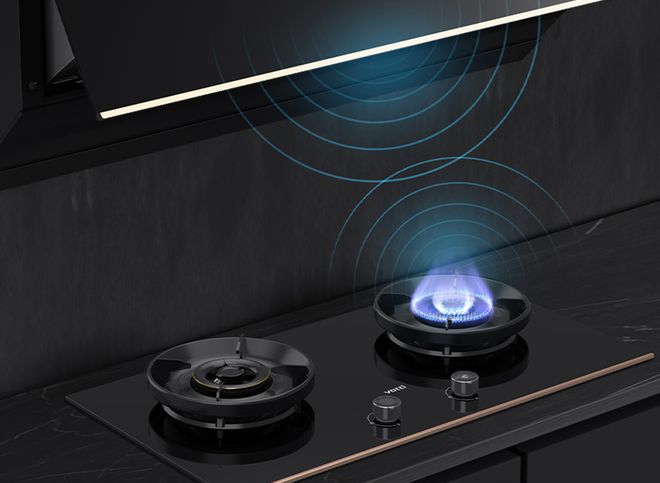 一线十大品牌分享满足国人的实际需求尊龙人生就是博2025年中国厨电(图2)